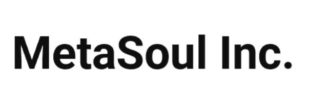 metasoul Logo-1