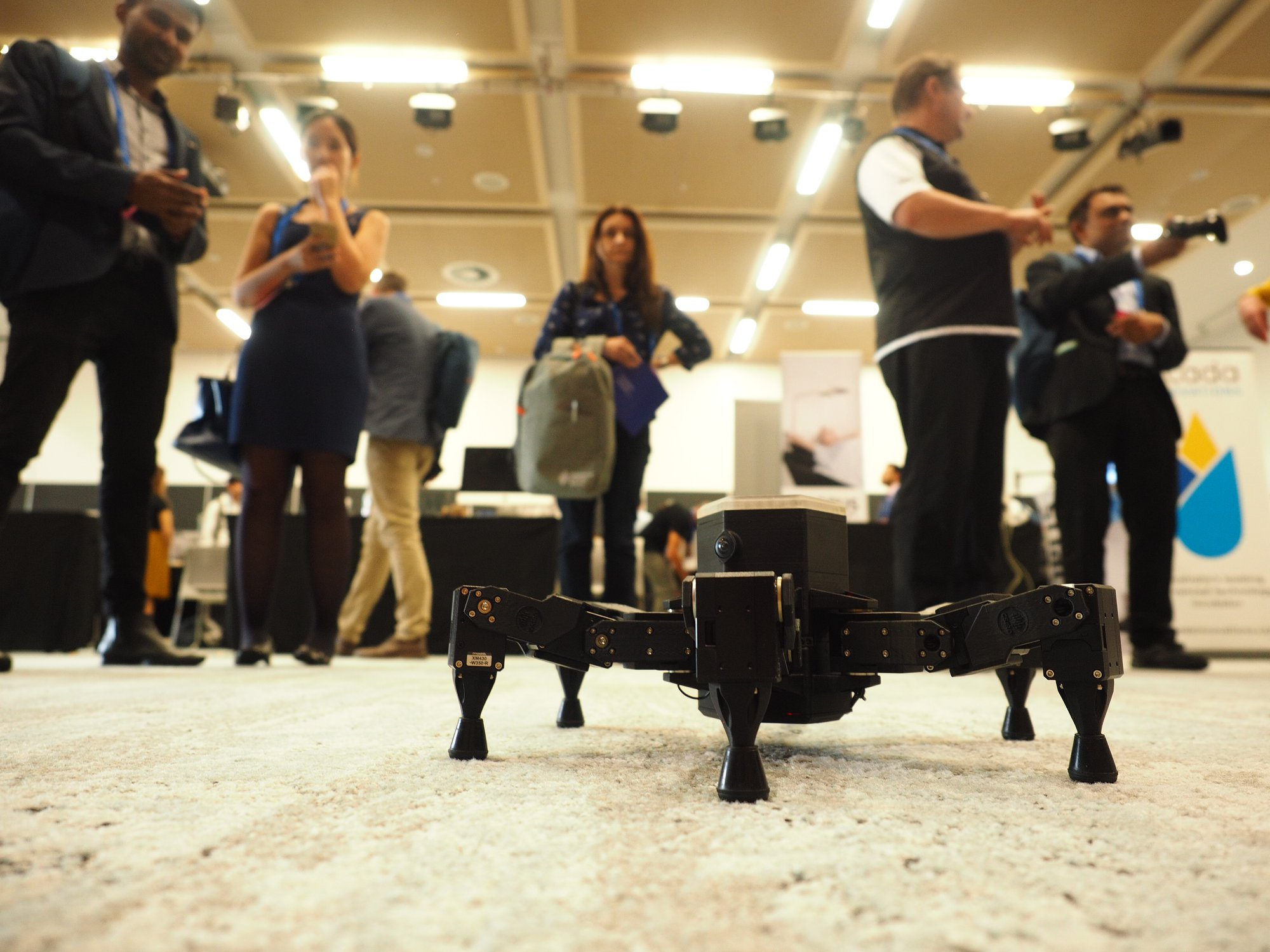 28061815_206981319881163_6226412524254307879_o_206981319881163